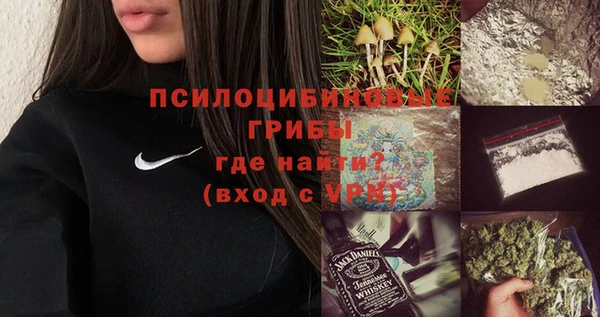 тгк Алексин
