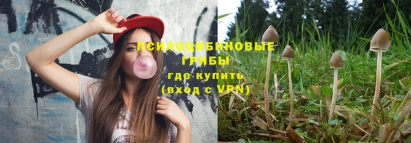 тгк Алексин
