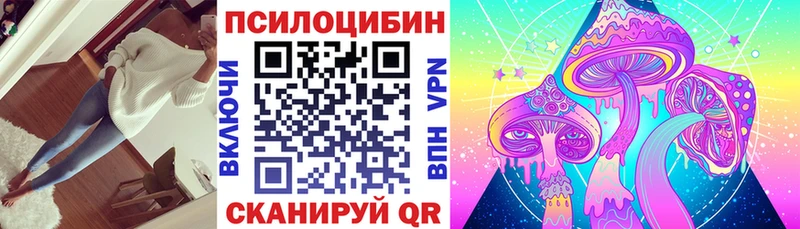 цены наркотик  Перевоз  Псилоцибиновые грибы MAGIC MUSHROOMS 